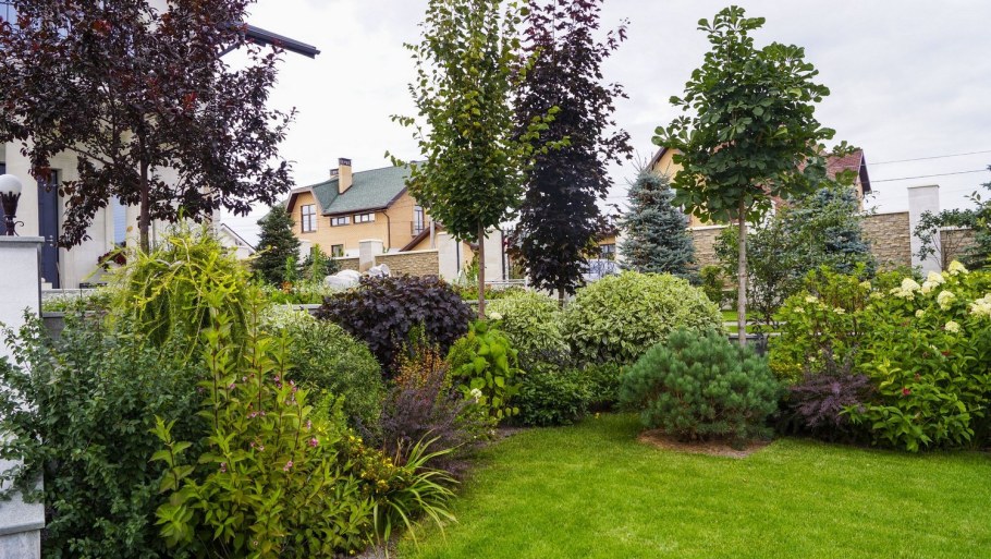 Миксбордер Сапелин