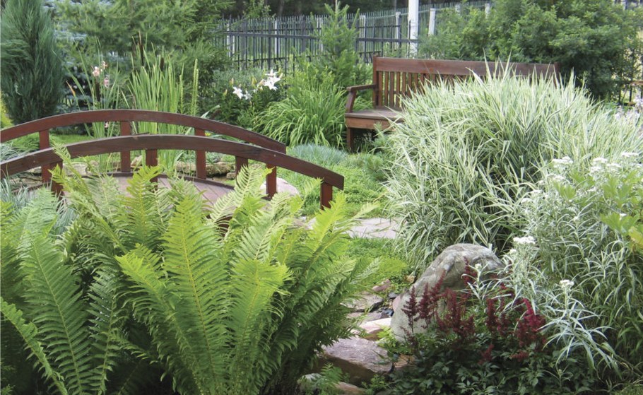 Цветник с папоротником и хостой