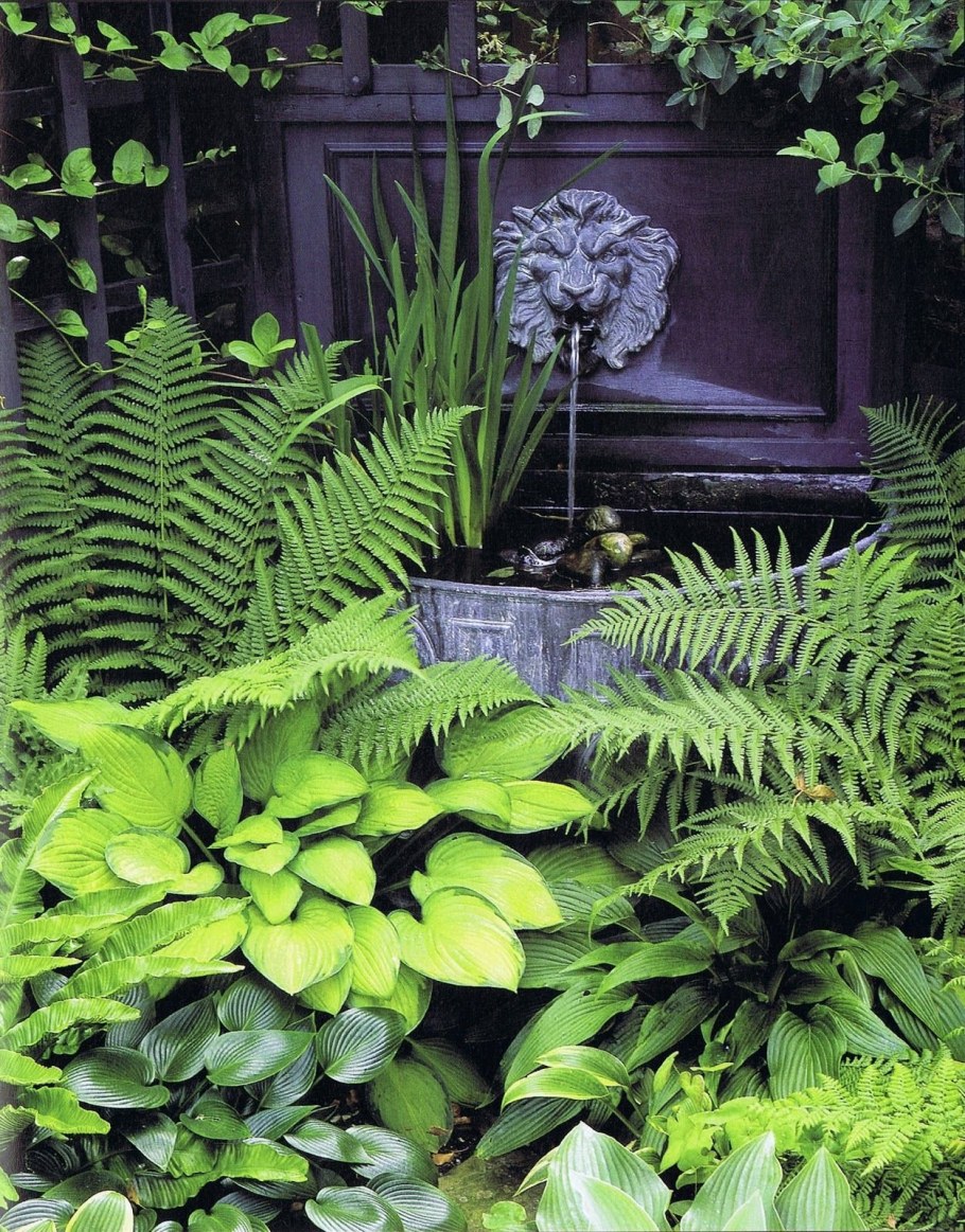 Купена Хоста и папоротник