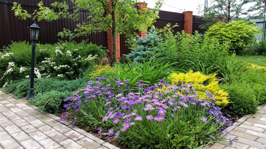 Огородный миксбордер