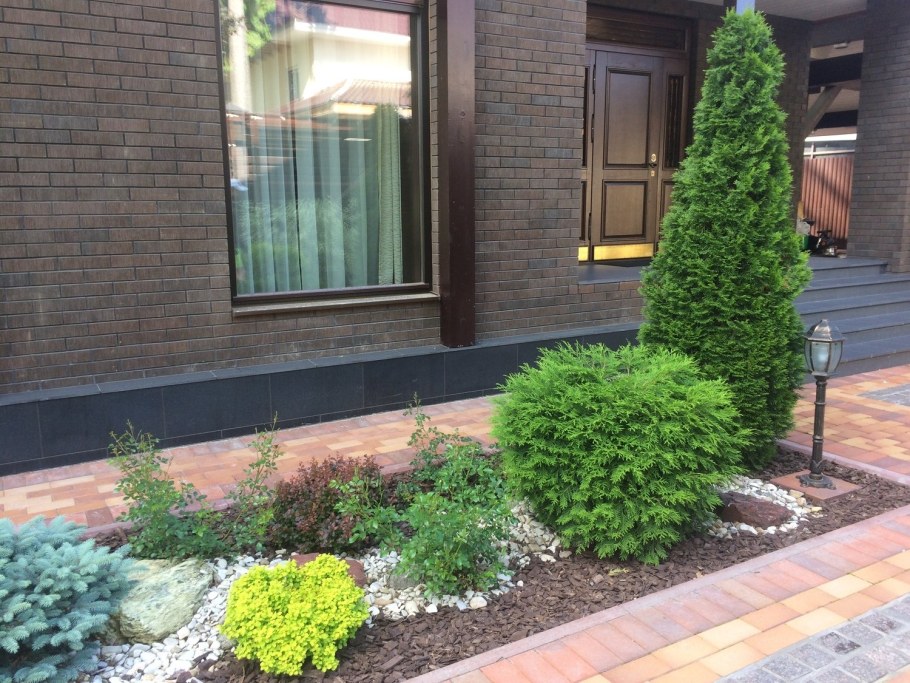 Туя Смарагд в ландшафте