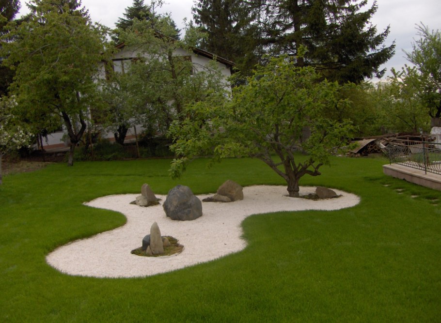 Солитер в ландшафтном дизайне