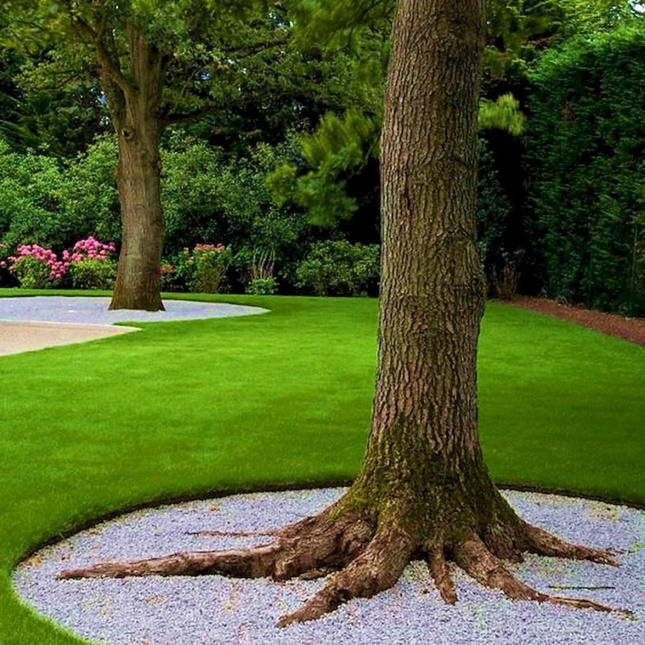 Приствольный круг для деревьев