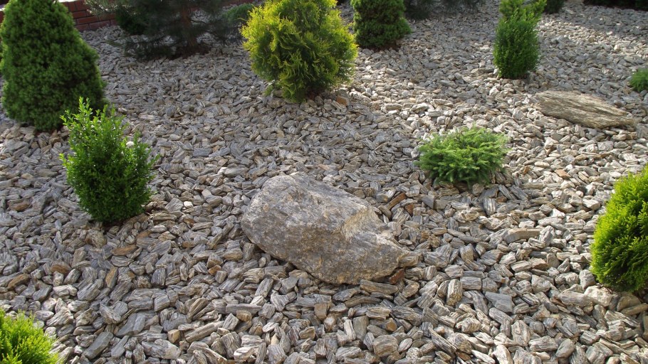 Мульчирование хвойников