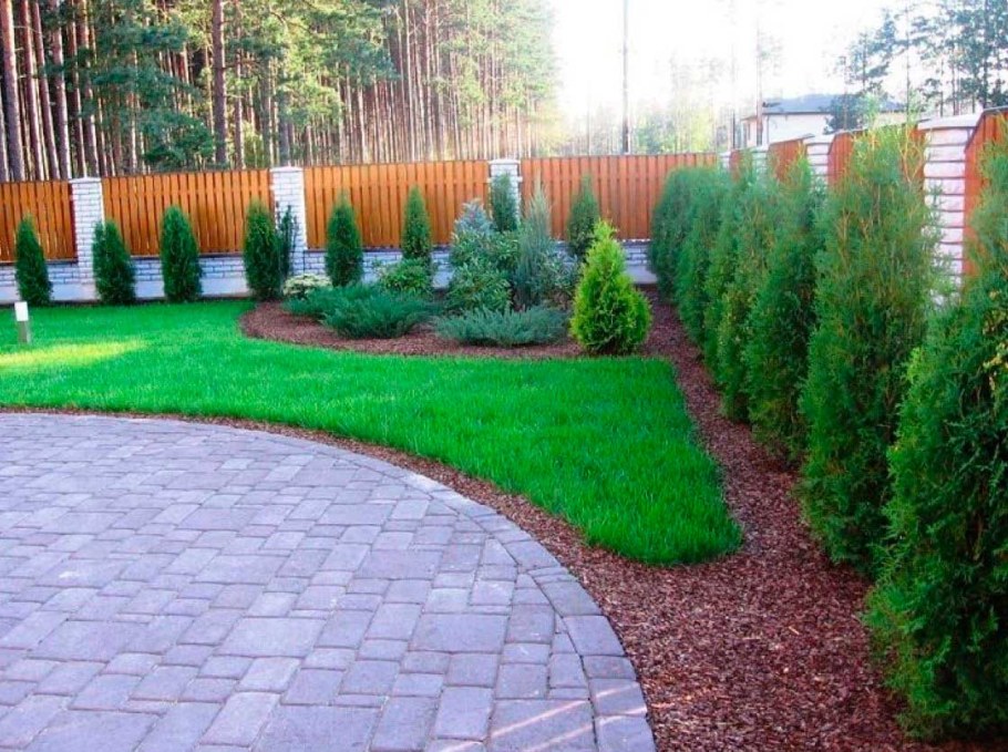 Мульчирование хвойников