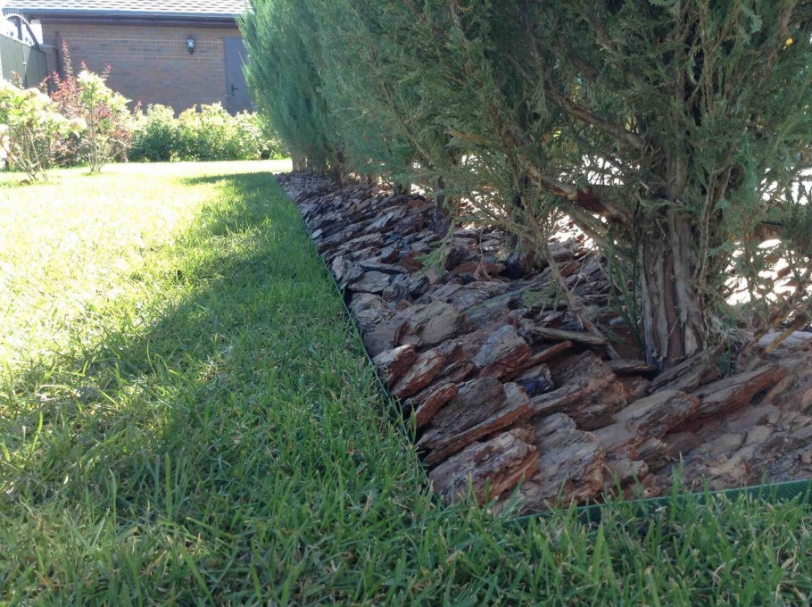 Мульчирование хвойников корой