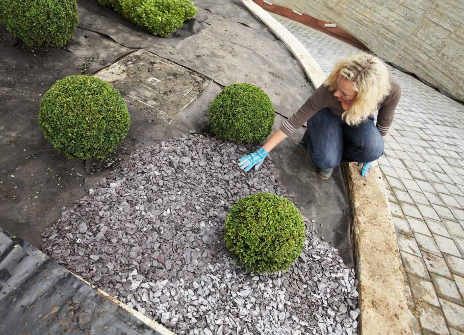 Мульчирование хвойников камнями