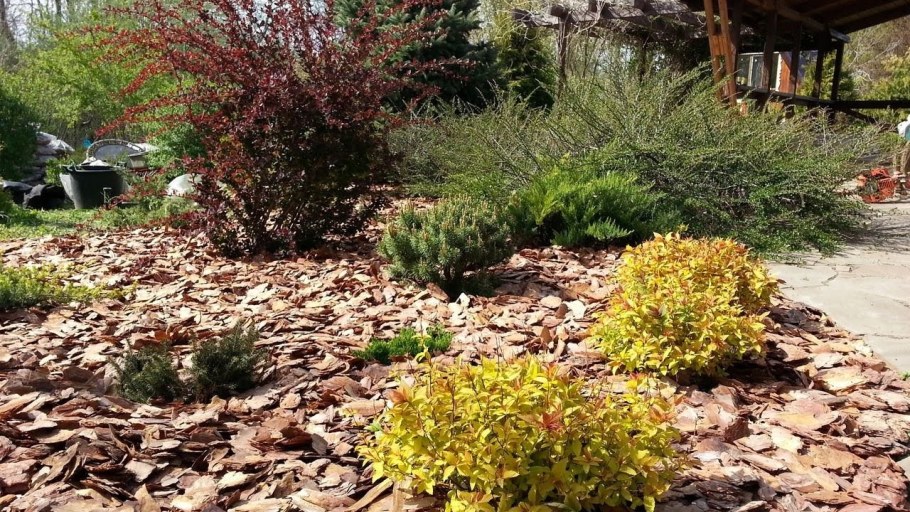 Мульчирование корой лиственницы Розария