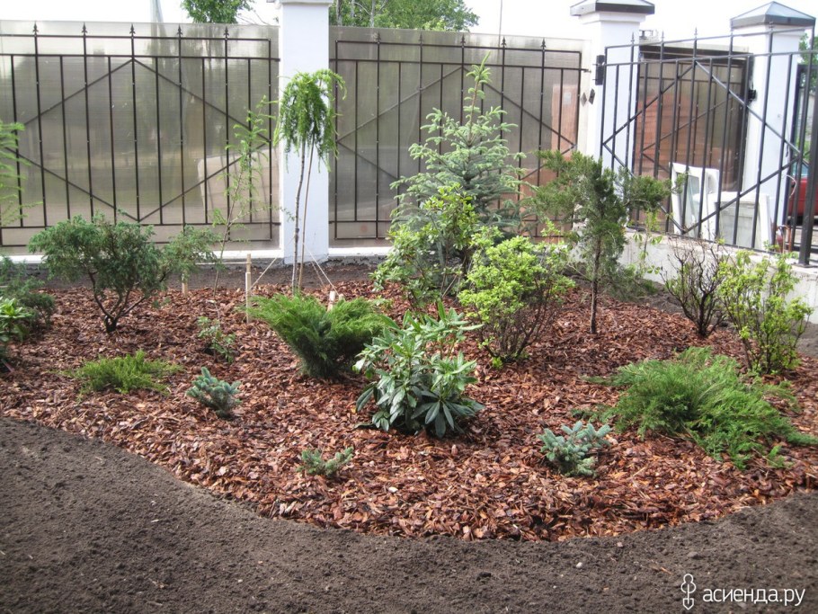 Мульчирование сосновой корой