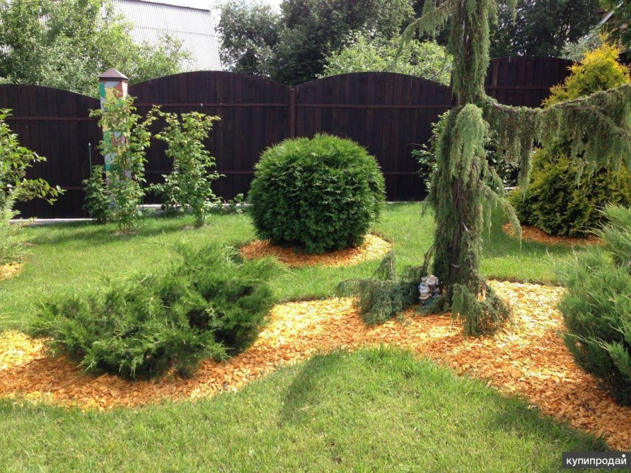 Мульчирование туи корой