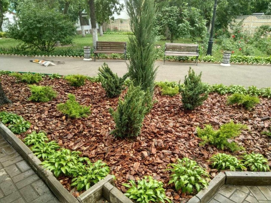 Щепа лиственницы для мульчирования