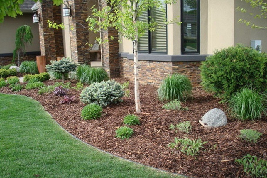 Мульчирование хвойников корой