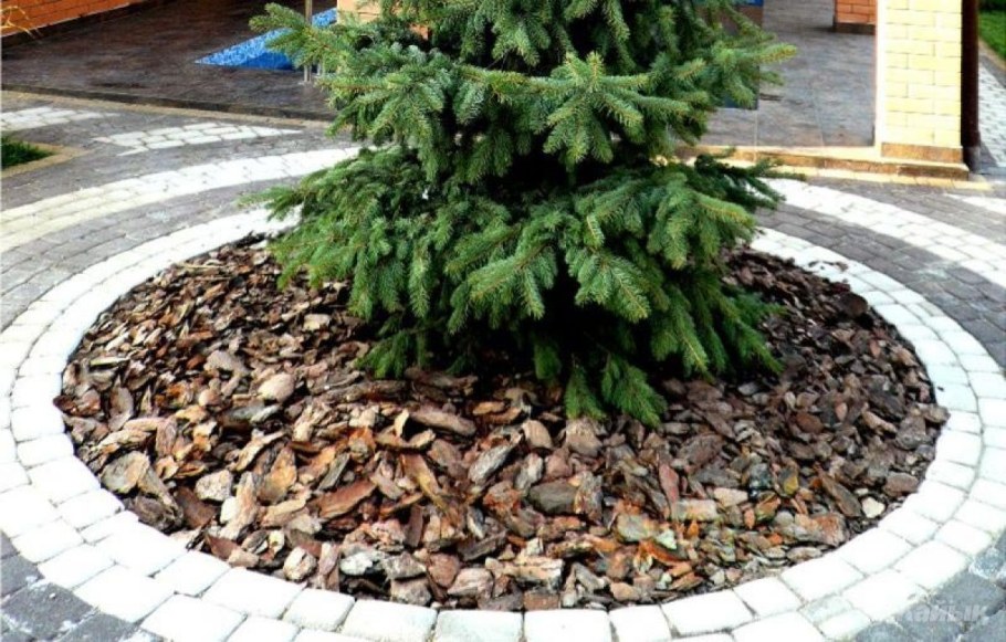 Щепа лиственницы для мульчирования