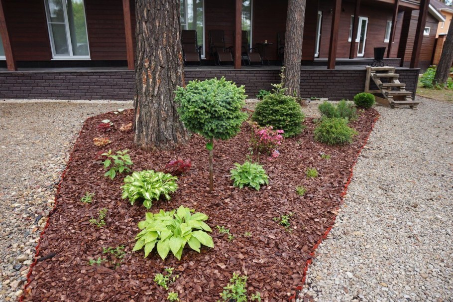 Мульчирование корой лиственницы Розария