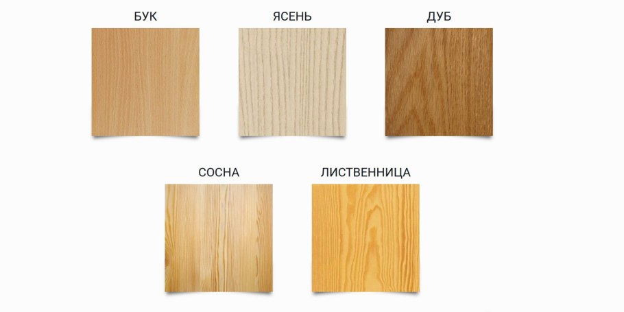 Дуб бук лиственница сосна