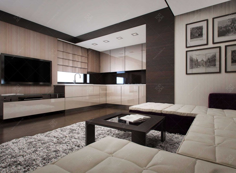 Кухня гостиная с ТВ зоной