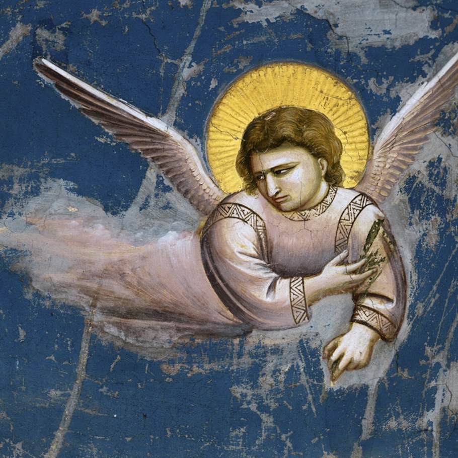 Джотто ди Бондоне ангелы