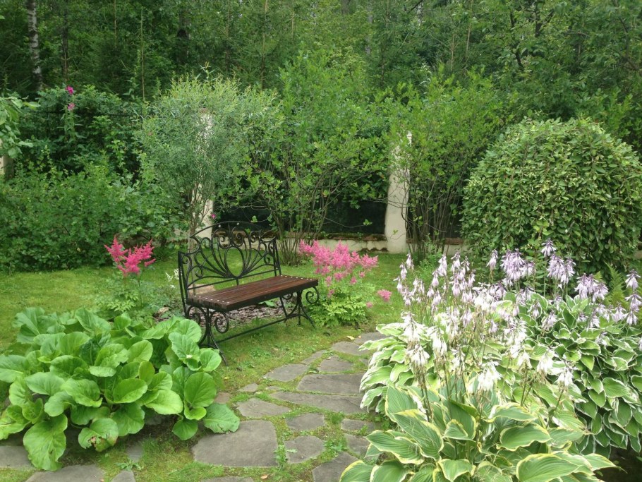 Бадан и Хоста