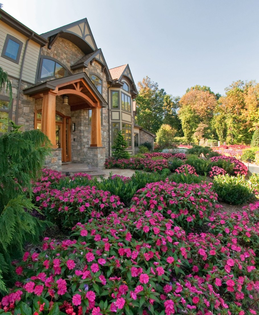 Бадан на даче