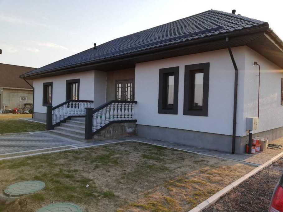 Короед американка