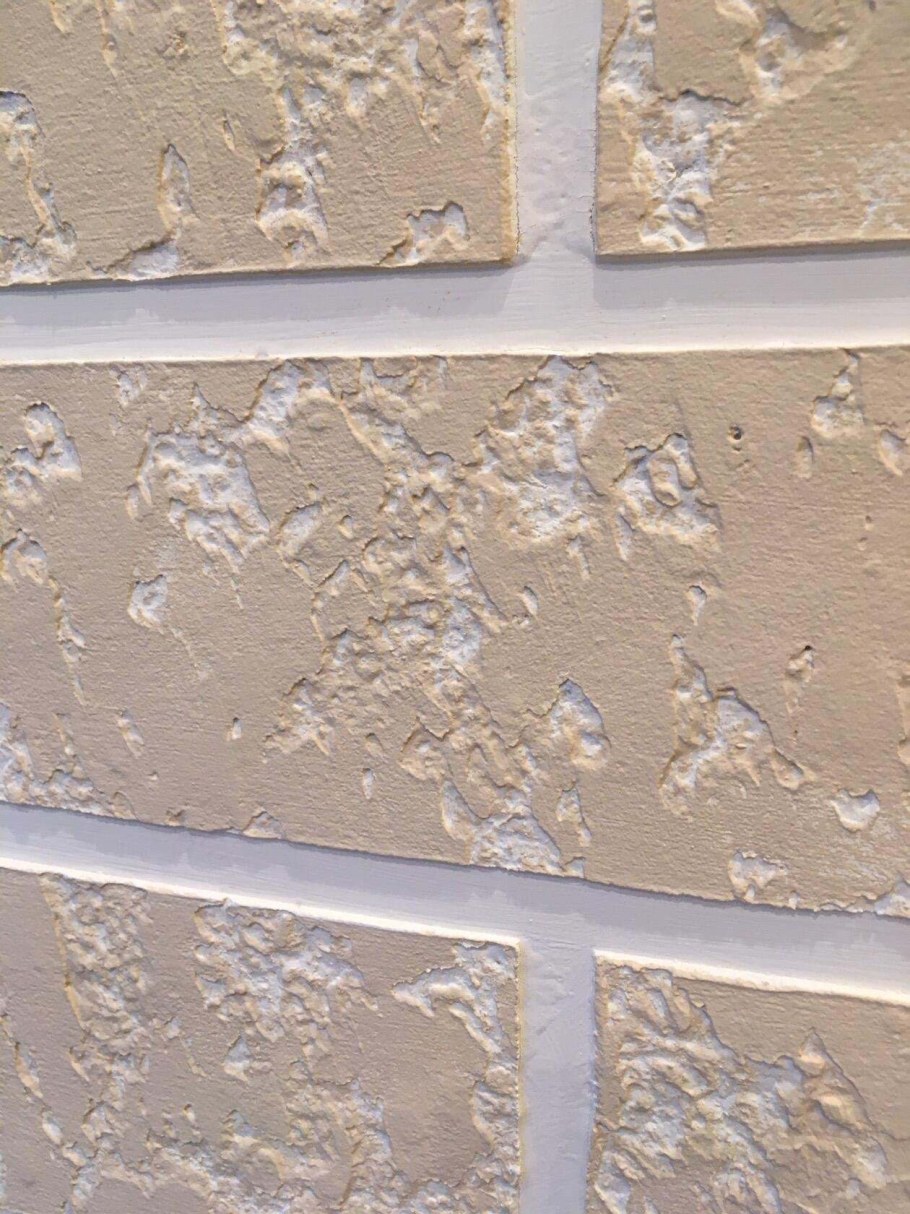 Декоративка американка