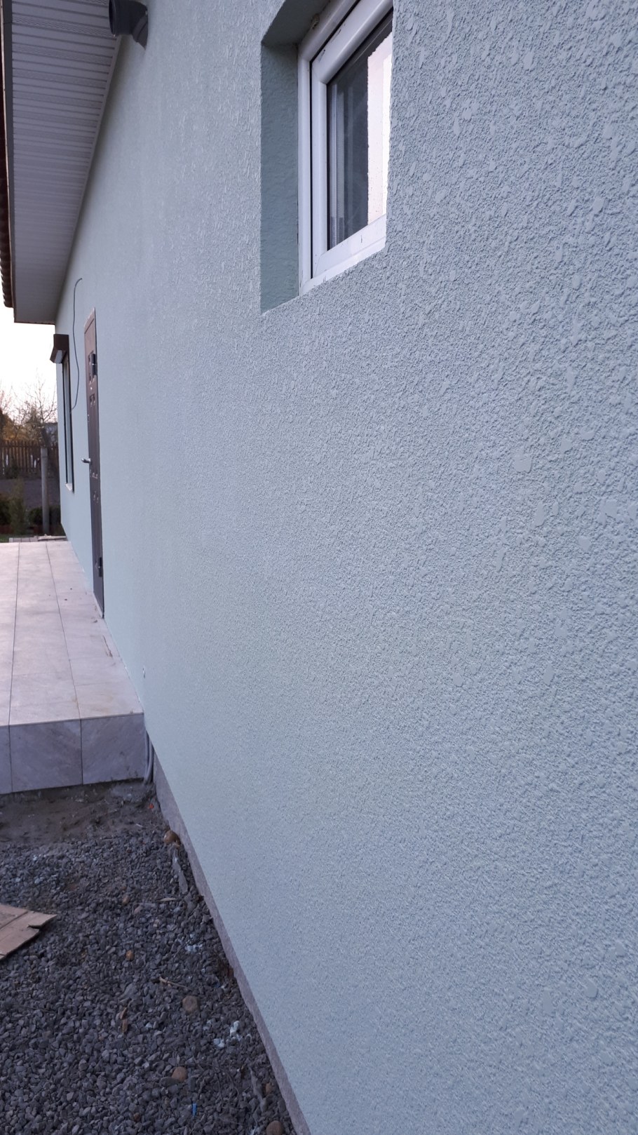 Фасадный короед Дюфа