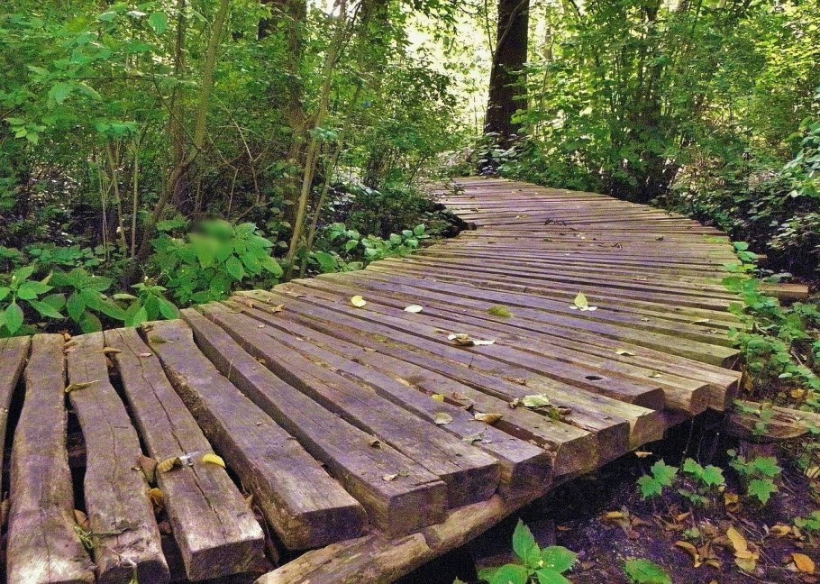 Деревянные дорожки на даче