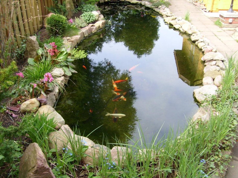 Декоративный водоем на даче