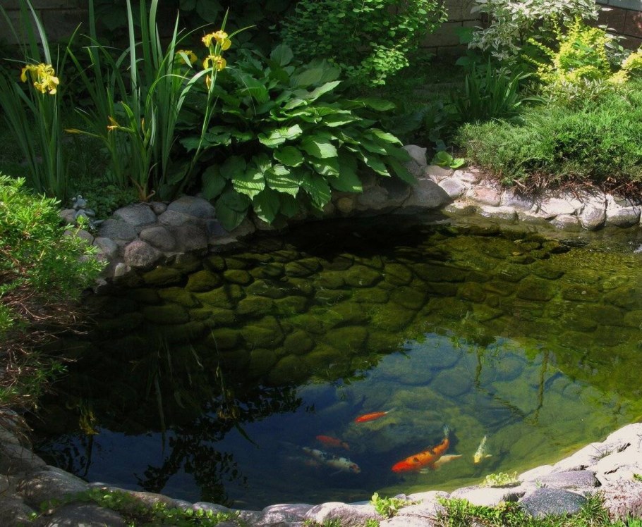 Декоративный бассейн