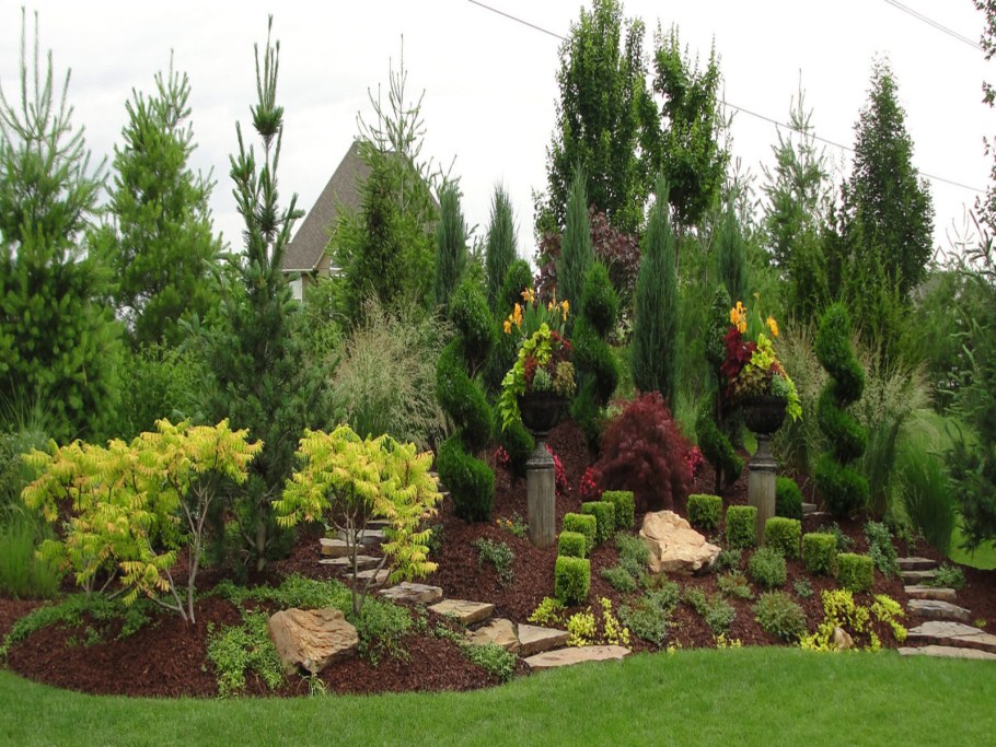 Туя Смарагд в ландшафте