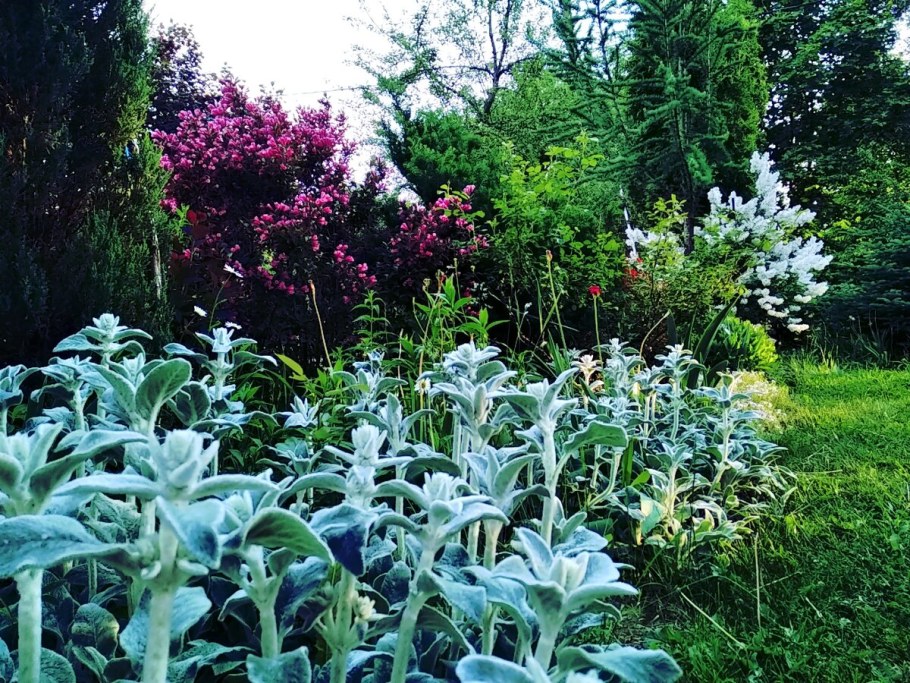 Стахис Марвел