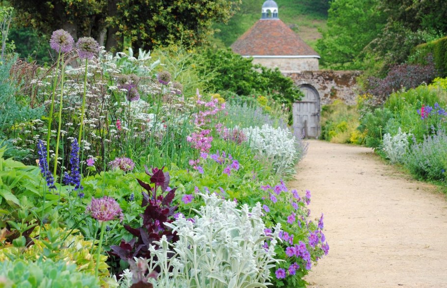 Чистец Монье