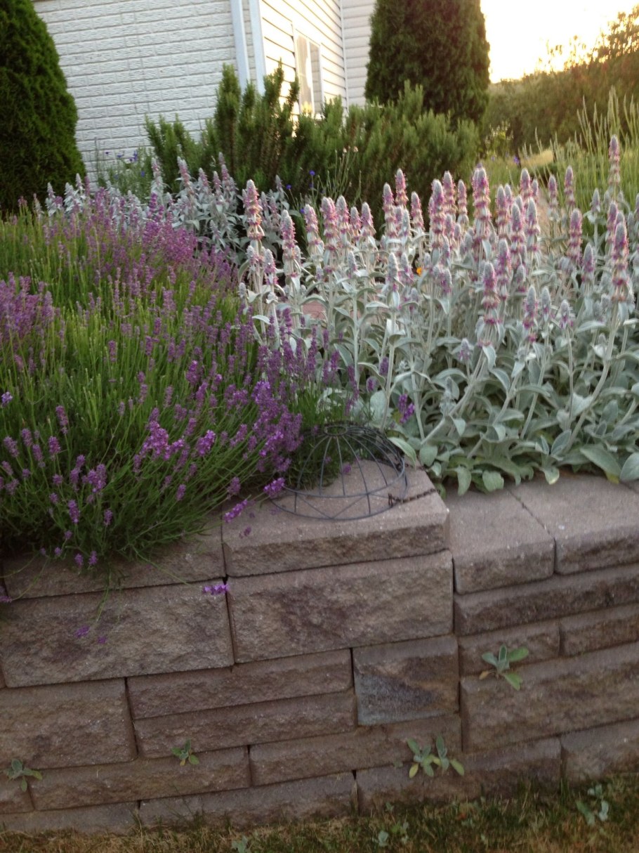 Стахис Византийский