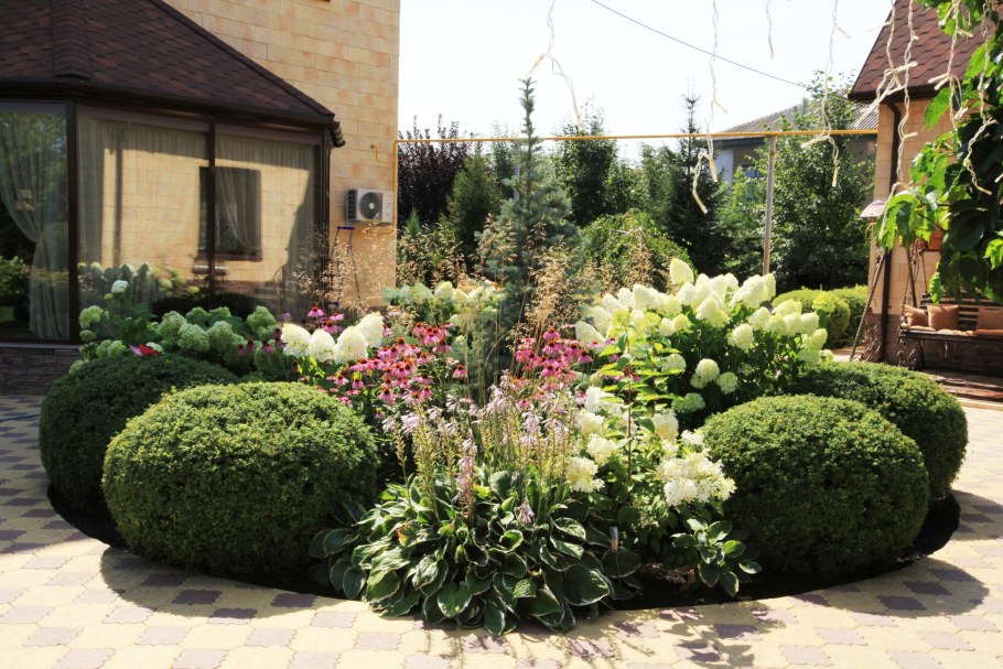 Миксбордер с гортензией метельчатой