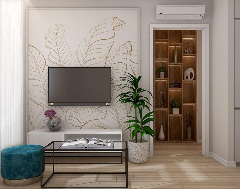 Зона телевизора