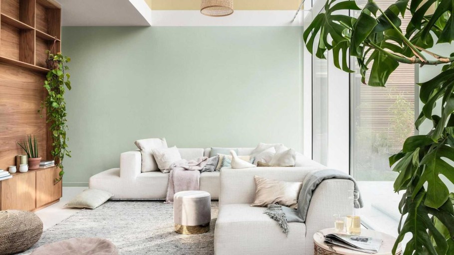 Растения в интерьере гостиной