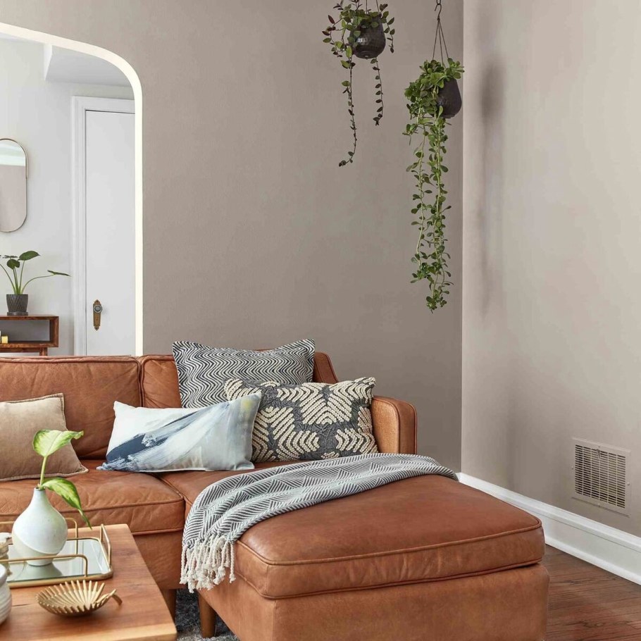 Покрашенные стены в интерьере