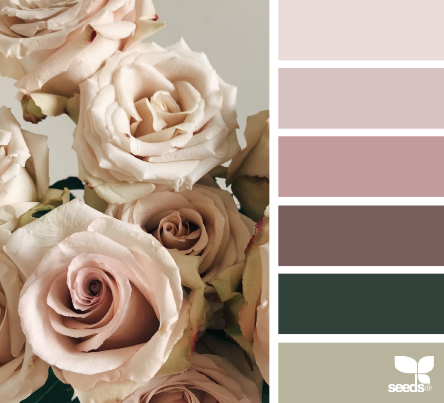 Цветовая палитра пыльная роза