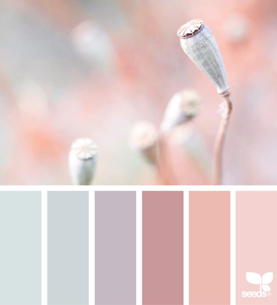 Палитра нюдовых оттенков