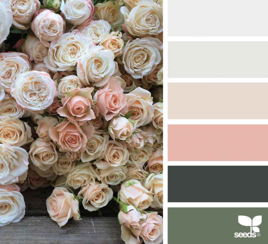 Колор баланс Палитры пудровый