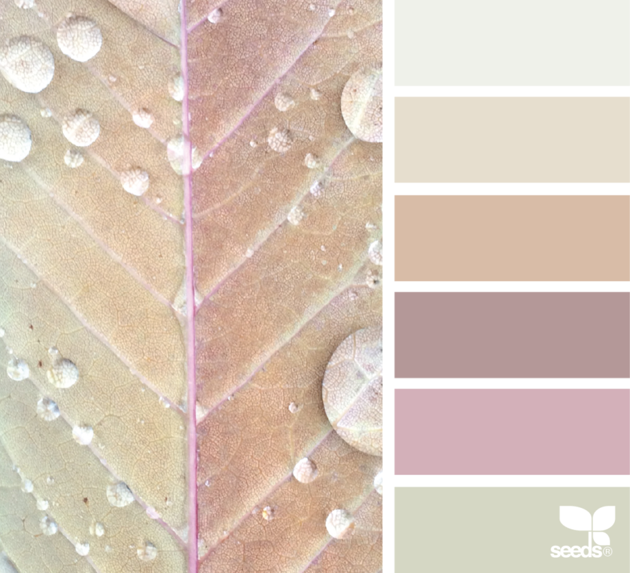 Сочетание пастельных цветов