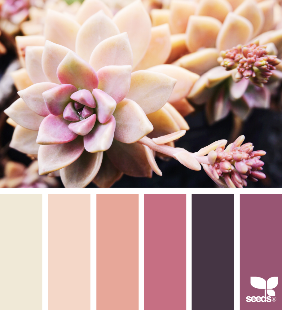 Цветовые сочетания