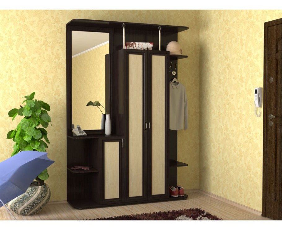 Прихожая Консул-2 (РИИКМ)