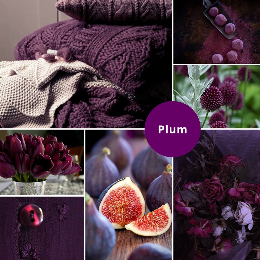 Бордово сливовый цвет