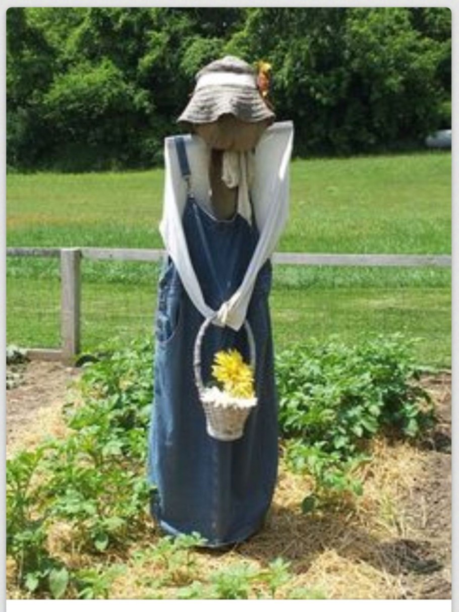 Оригинальное чучело на даче