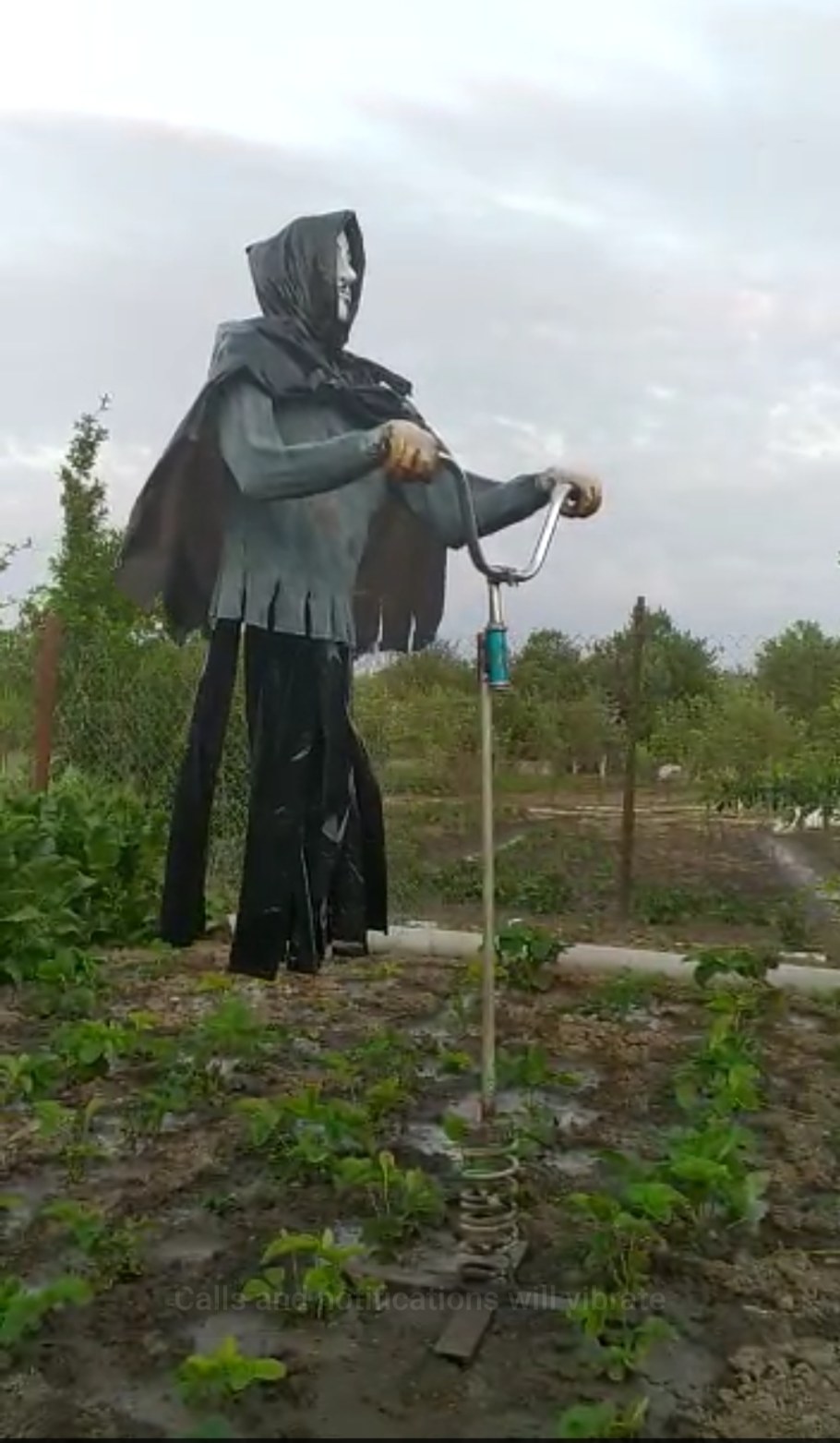 Чучело огородное