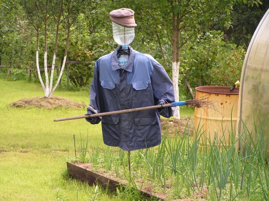 Чучело в саду и огороде