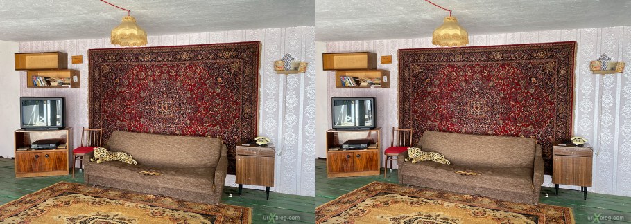 Ковер на стене