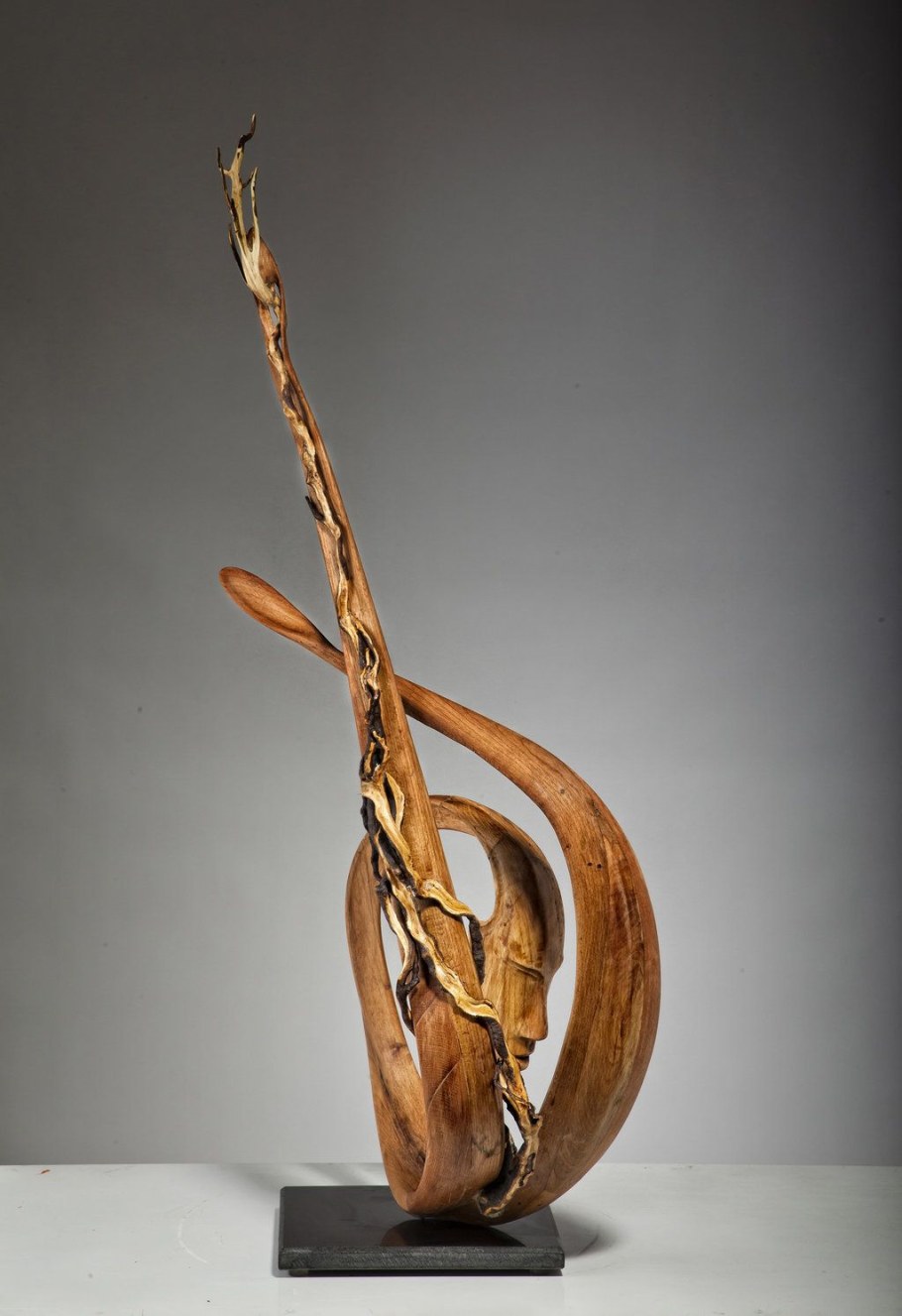 Абстракция из дерева