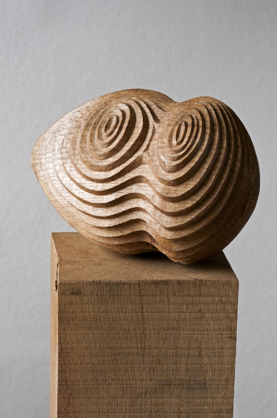 Деревянный камень